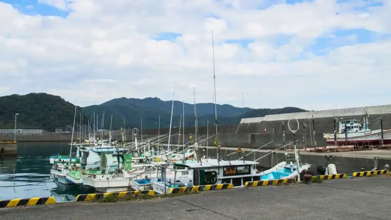 二級小型船舶免許の受験資格と必要書類の揃え方と注意点／静岡・清水