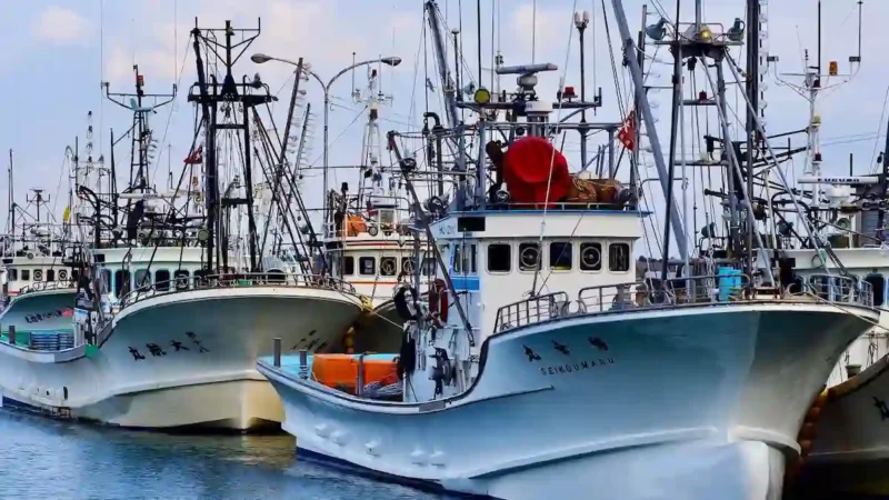 大学生でも簡単！二級小型船舶免許の取り方／静岡・清水