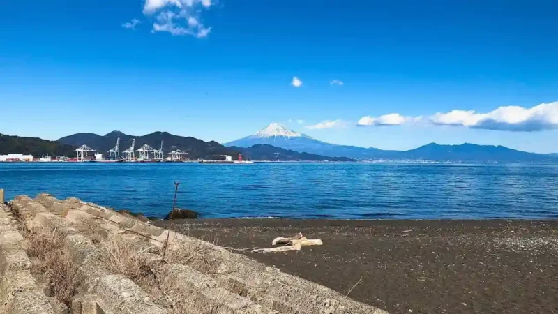 静岡でオススメの釣具屋さん7選！｜静岡サーフ・清水港・三保サーフ