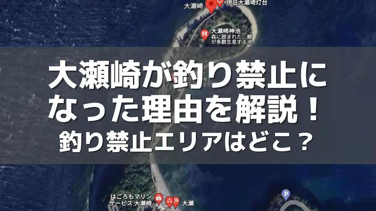 大瀬崎が釣り禁止になった理由を解説!釣り禁止エリアはどこ?|静岡県・沼津市【2024年最新】