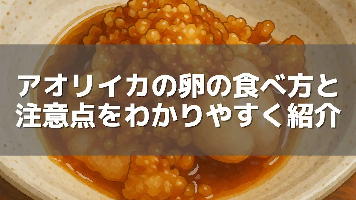 アオリイカの卵の食べ方と注意点をわかりやすく紹介