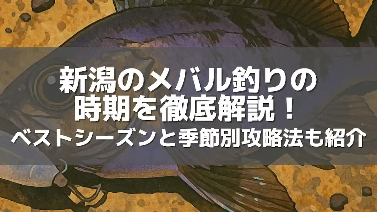 新潟のメバル釣りの時期を徹底解説!ベストシーズンと季節別攻略法も紹介