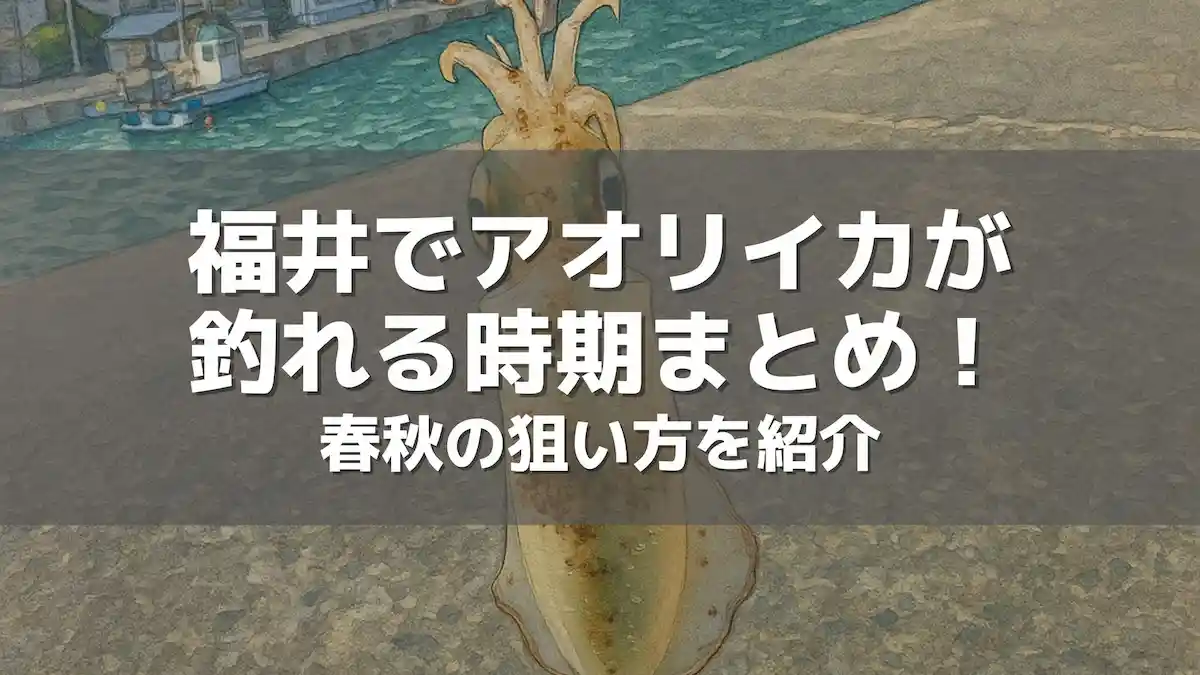 福井でアオリイカが釣れる時期まとめ！春秋の狙い方を紹介