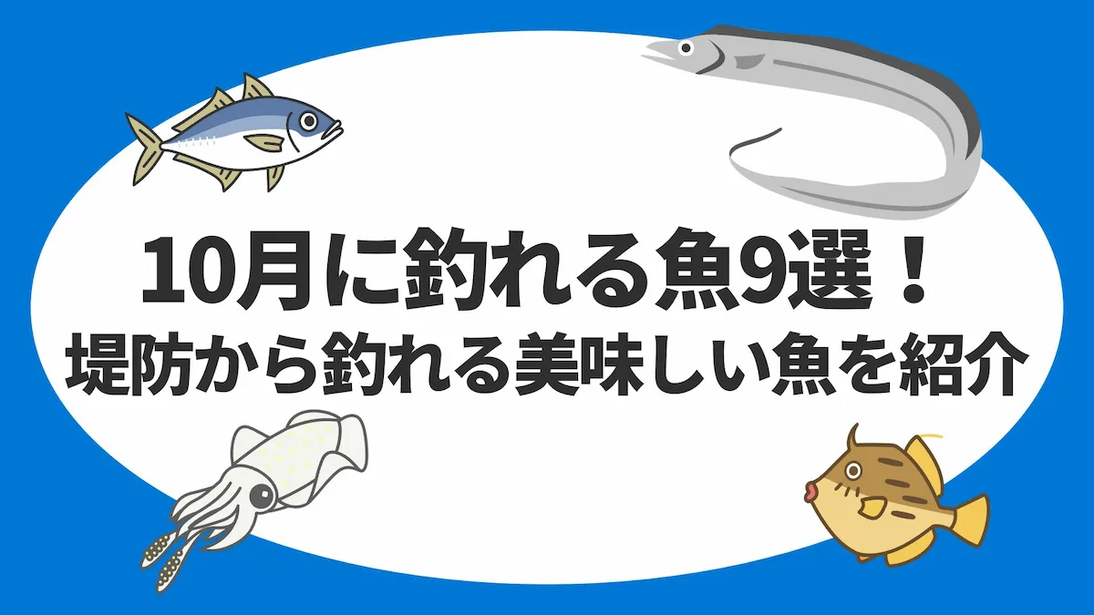 10月に釣れる魚9選！堤防から釣れる美味しい魚を紹介
