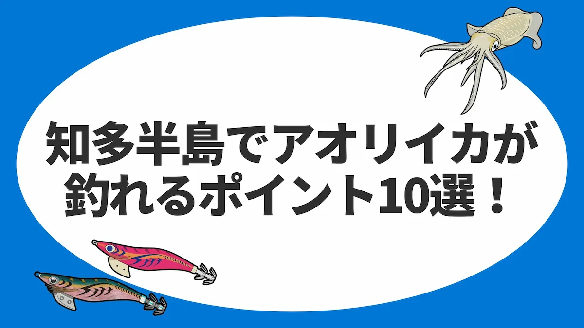 知多半島でアオリイカが釣れるポイント10選！