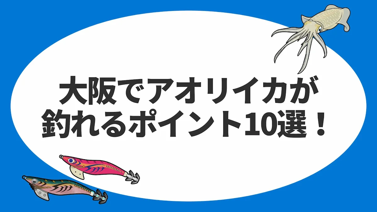 大阪でアオリイカが釣れるポイント10選！釣れる場所を徹底解説