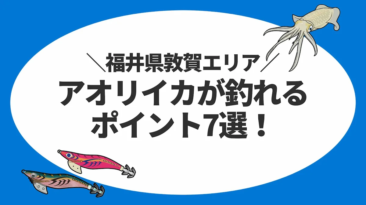 福井県敦賀エリアでアオリイカが釣れるポイント7選！