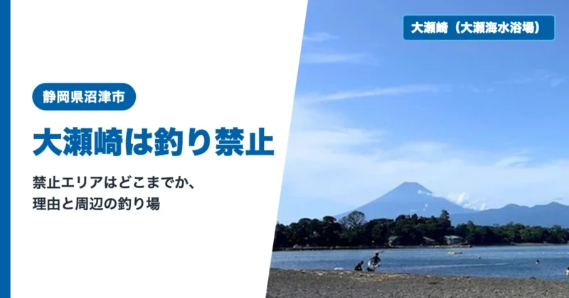 大瀬崎は釣り禁止の記事の題名と、大瀬海水浴場から見た富士山の写真